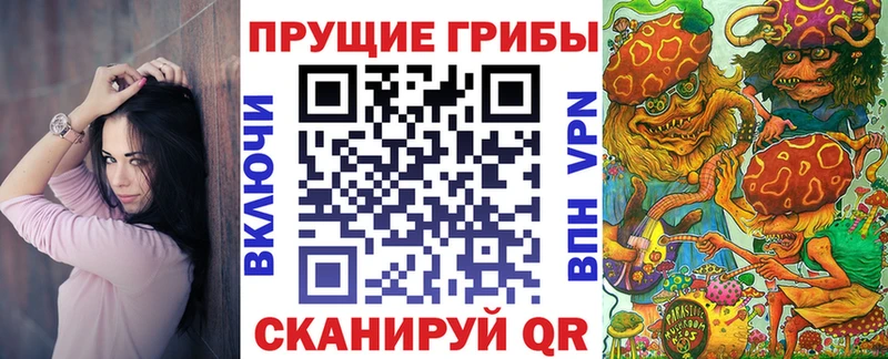 Псилоцибиновые грибы Psilocybe  Купить где  Крым 